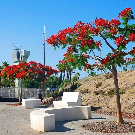 아파트 Welcoming With Pool - 65 M² - Costa Del Silencio